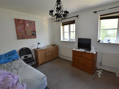 Picture 12
